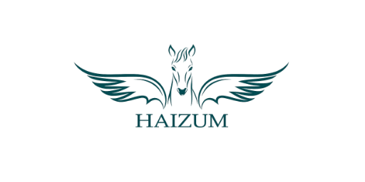 Haizum Project Management Services · LOGO