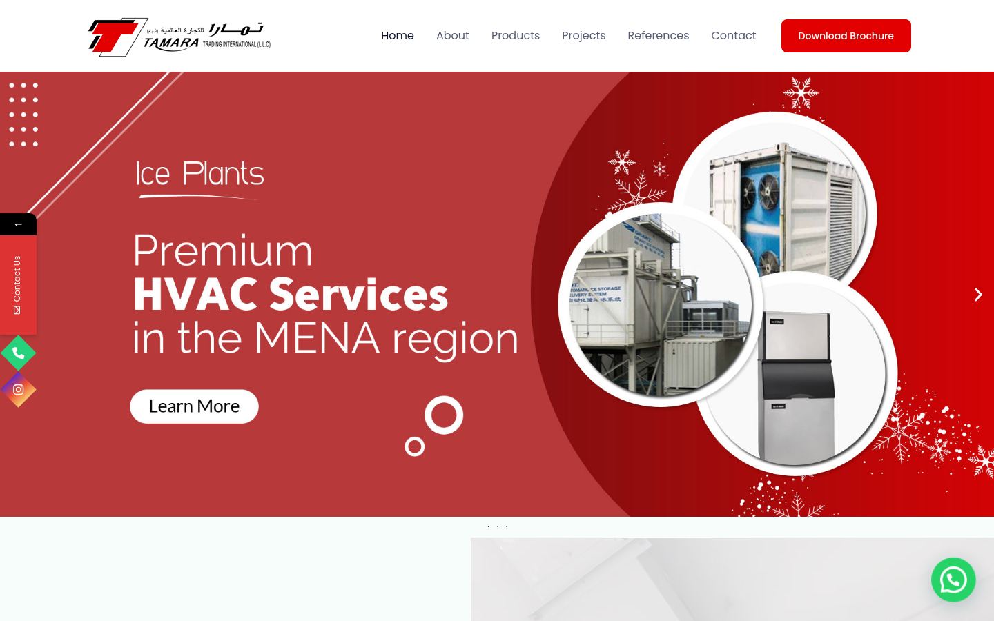 Tamara Trading International Llc · HOMEPAGE_SCREENSHOT