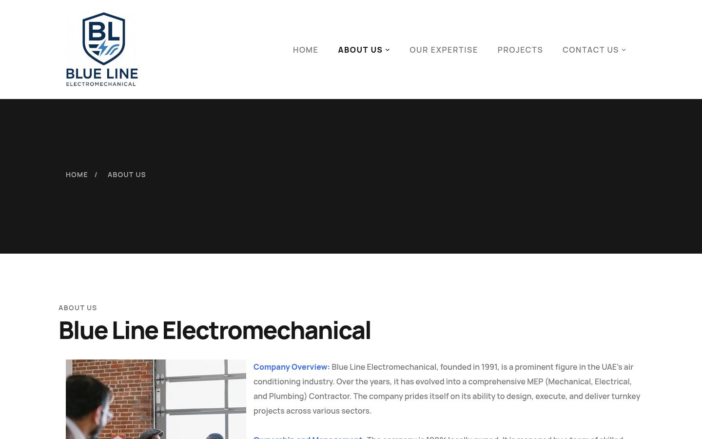 Blue Line Electromechanical · HOMEPAGE_SCREENSHOT